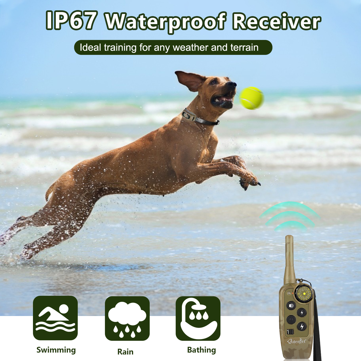 1000m Electric Dog Training Co - Hot Dog Press のレビューと価格