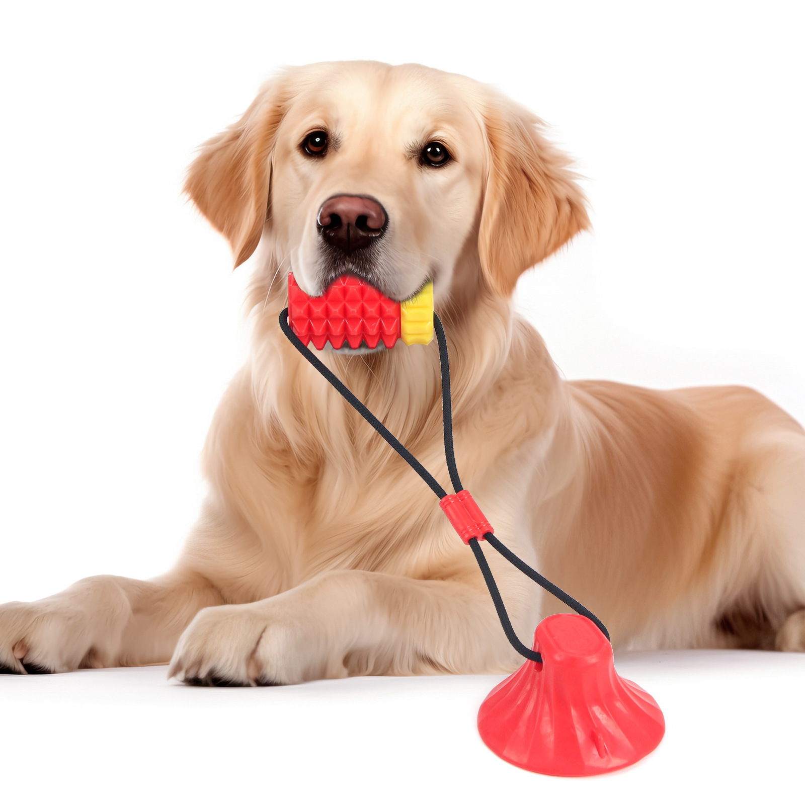 Simulated Corn Cob TPR Dog Toy - Corn Dog Stick のレビューと価格