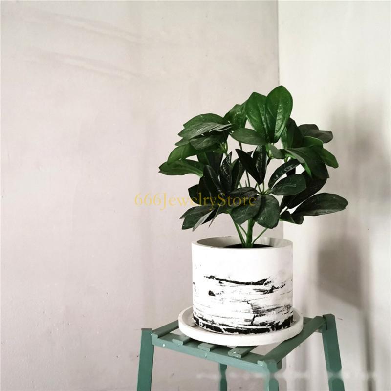 F2TD Large Round Concrete Flow - Potsticker Mold のレビューと価格